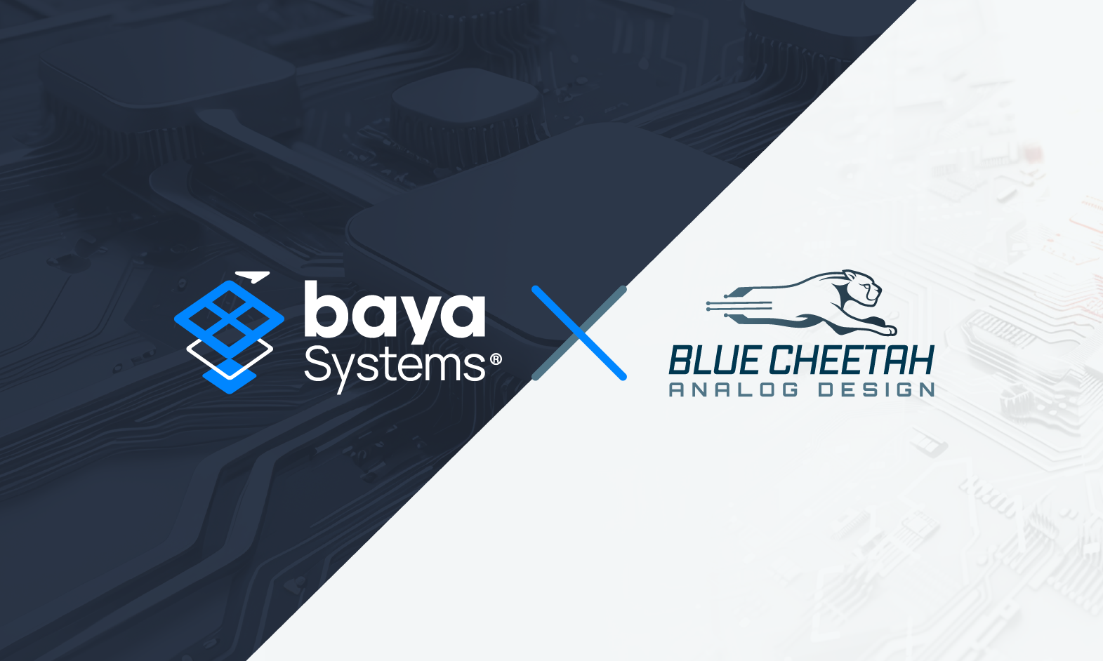 Baya Systems And Blue Cheetah Partner