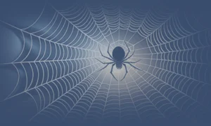 TN-Baya-Systems-emerges-from-Stealth-with-Chiplet-Interconnect