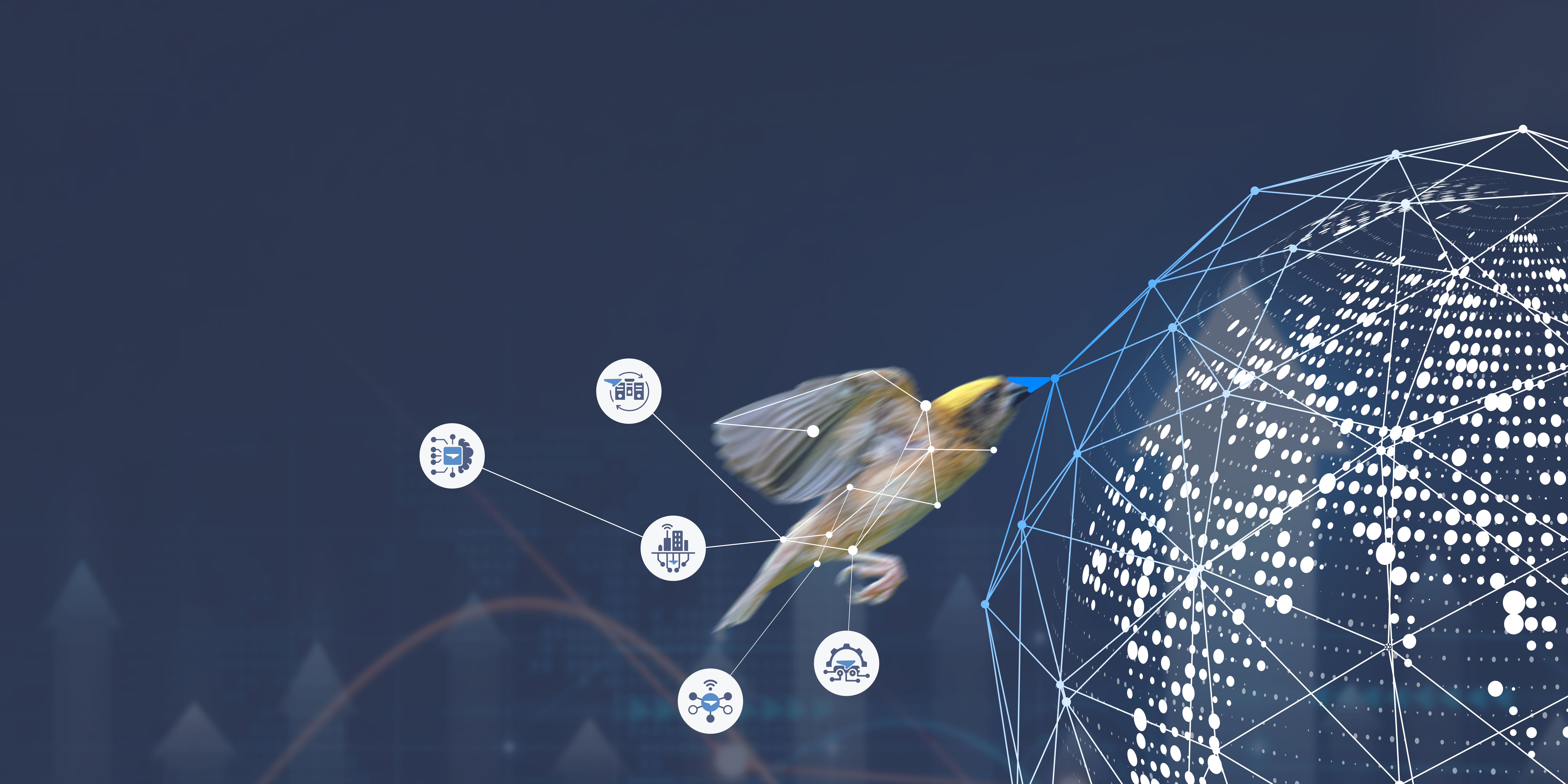 Baya Systems Overview