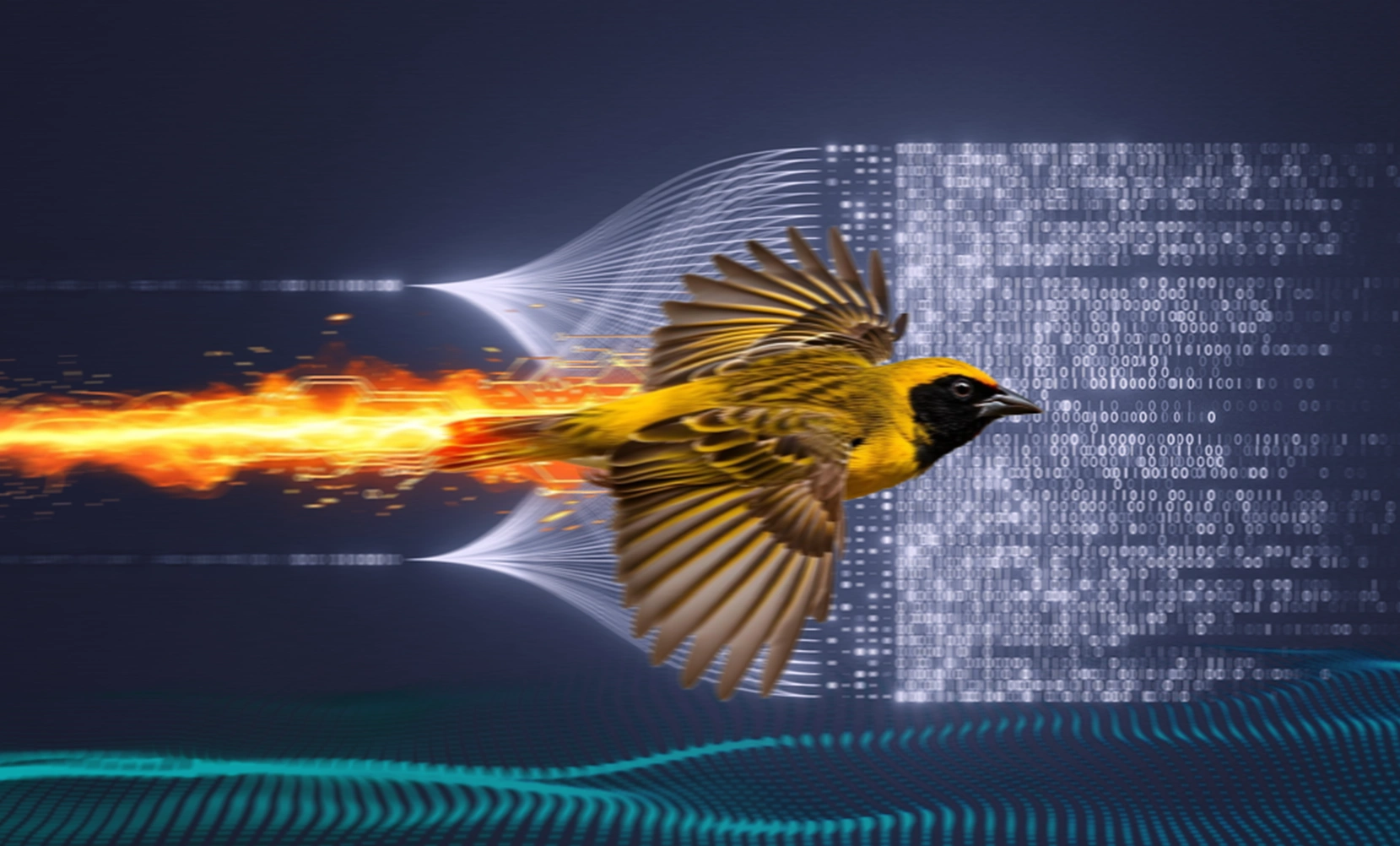 Momentum PR - From Stealth to Scale