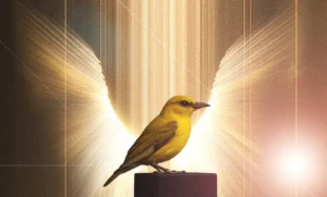 Aug - Baya Systems - Recognized. Trusted. Rising