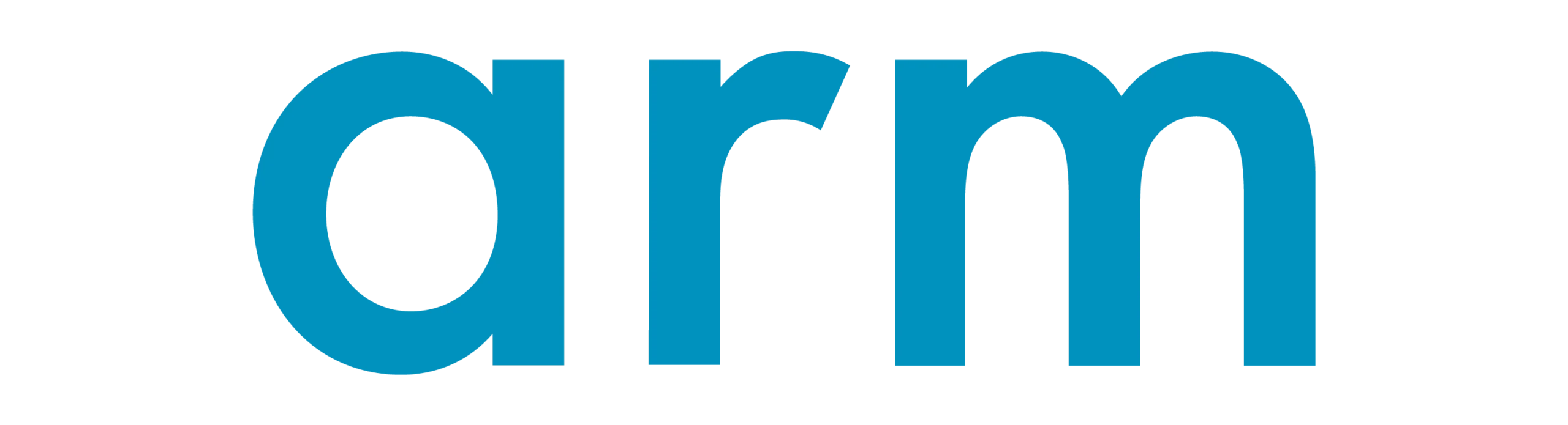 Baya Systems - Partners Logo_arm