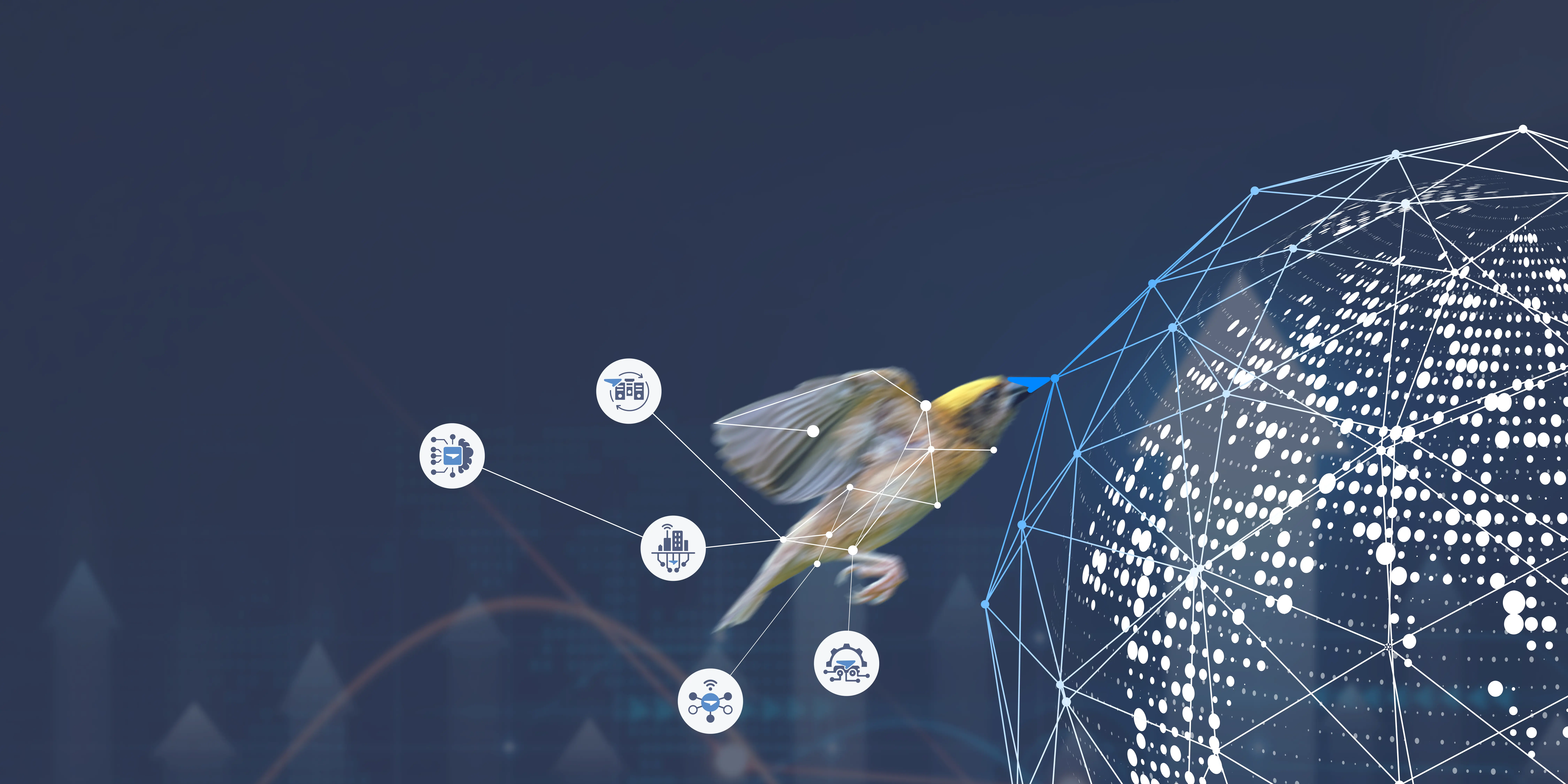 Baya Systems Overview
